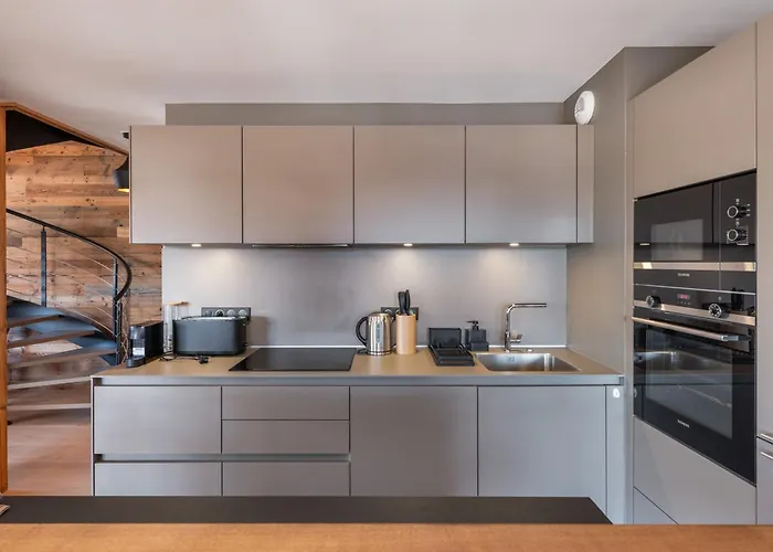 Moderne Avec Acces Sauna Et Hammam - Fr-1-569-186 * Megève