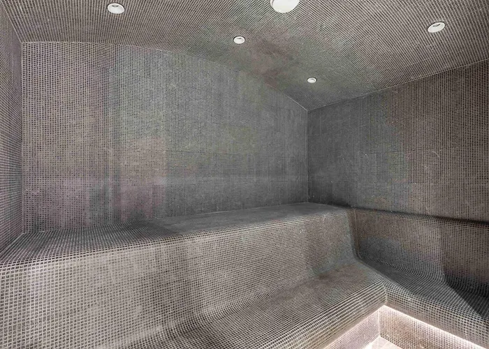 Lägenhet Moderne Avec Acces Sauna Et Hammam - Fr-1-569-186 *